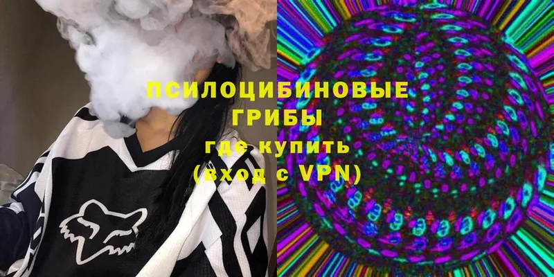 Галлюциногенные грибы Psilocybe  Красный Кут 